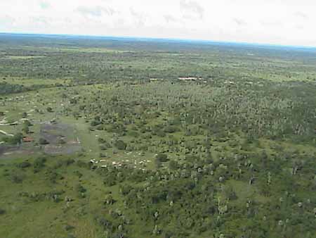 pampas del Beni