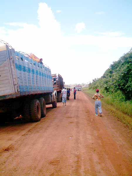 tienen que caminar varios kilometros