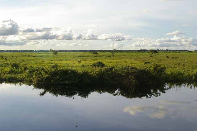 800px-Llanos_del_Beni2C_Bolivia[1] 640