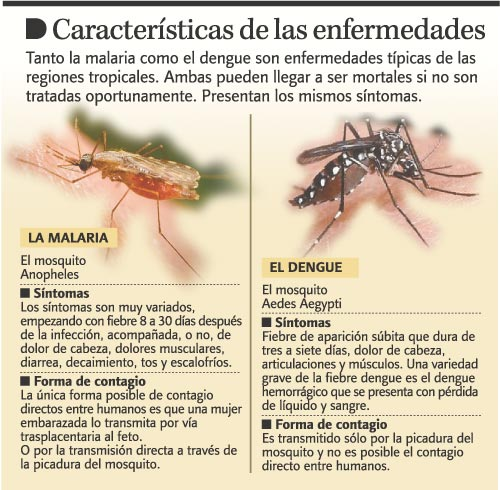 Riberalta » Casos de malaria suben 10% en el norte de La Paz – LA RAZON –  