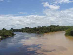 asi nace el Orthon, del tahuamanu (rio de los ambaibos) derecha y del Manuripi (rio de las sicurices) izquierda - Puerto Rico Pando. 300