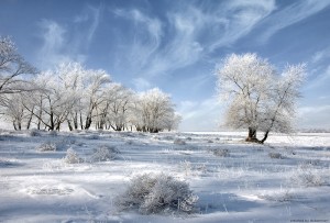 Classical_russian_winter_by_doberman4ik