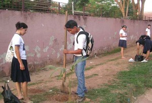 sembrando un árbol